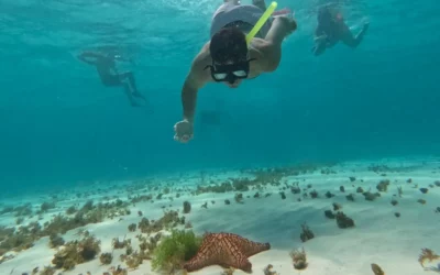 Les meilleures excursions à faire à Tulum